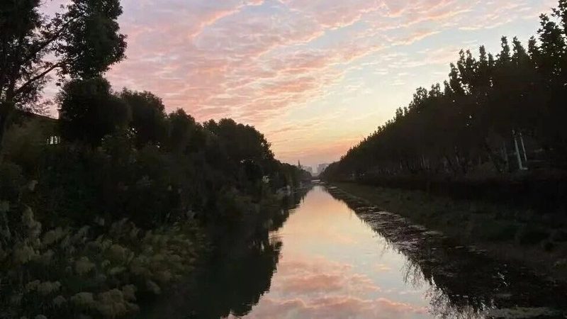 代理记账服务通常包括以下内容：